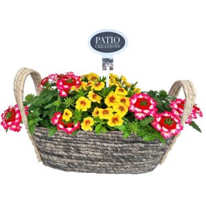 Bepflanzter Seegraskorb 31×14 cm, verschiedene Bepflanzungen Bepflanzter Seegraskorb 31×14 cm, verschiedene Bepflanzungen