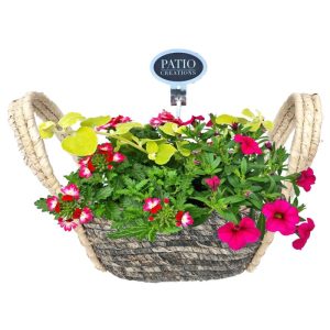 Bepflanzter Seegraskorb 21×11 cm, verschiedene Bepflanzungen Bepflanzter Seegraskorb 21×11 cm, verschiedene Bepflanzungen