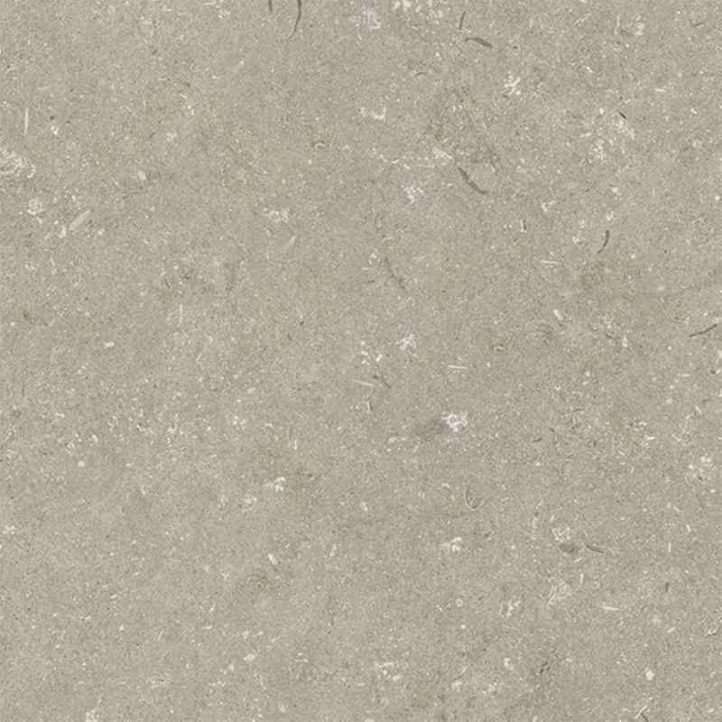 Feinsteinzeug Brighton taupe matt BRG004, 30x60x0,8cm