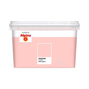 Alpina PANTONE Ballet Slipper 2,5 L Alpina PANTONE Ballet Slipper 2,5 L