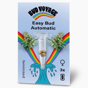 Hanfsamen BudVoyage Hippie Hanf- EasyBud Auto, 3 Samen Hanfsamen BudVoyage Hippie Hanf- EasyBud Auto, 3 Samen