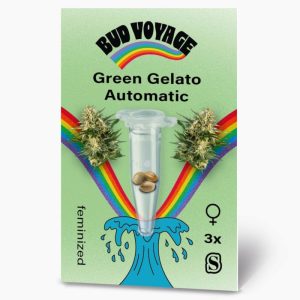 Bud Voyage Hanfsamen Green Gelato Auto Bud Voyage Hanfsamen Green Gelato Auto
