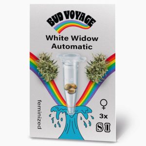 Bud Voyage Hanfsamen White Widow Auto Bud Voyage Hanfsamen White Widow Auto