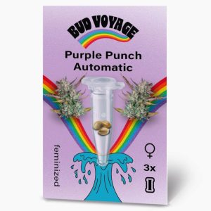 Bud Voyage Hanfsamen Purple Punch Auto Bud Voyage Hanfsamen Purple Punch Auto