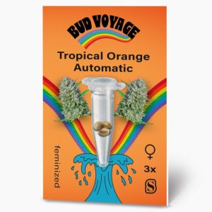 Bud Voyage Hanfsamen Tropical Orange Auto Bud Voyage Hanfsamen Tropical Orange Auto