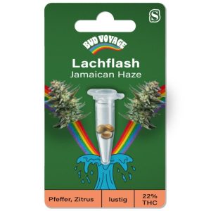 Bud Voyage Hanfsamen Lachflash – Jamaican Haze Bud Voyage Hanfsamen Lachflash – Jamaican Haze