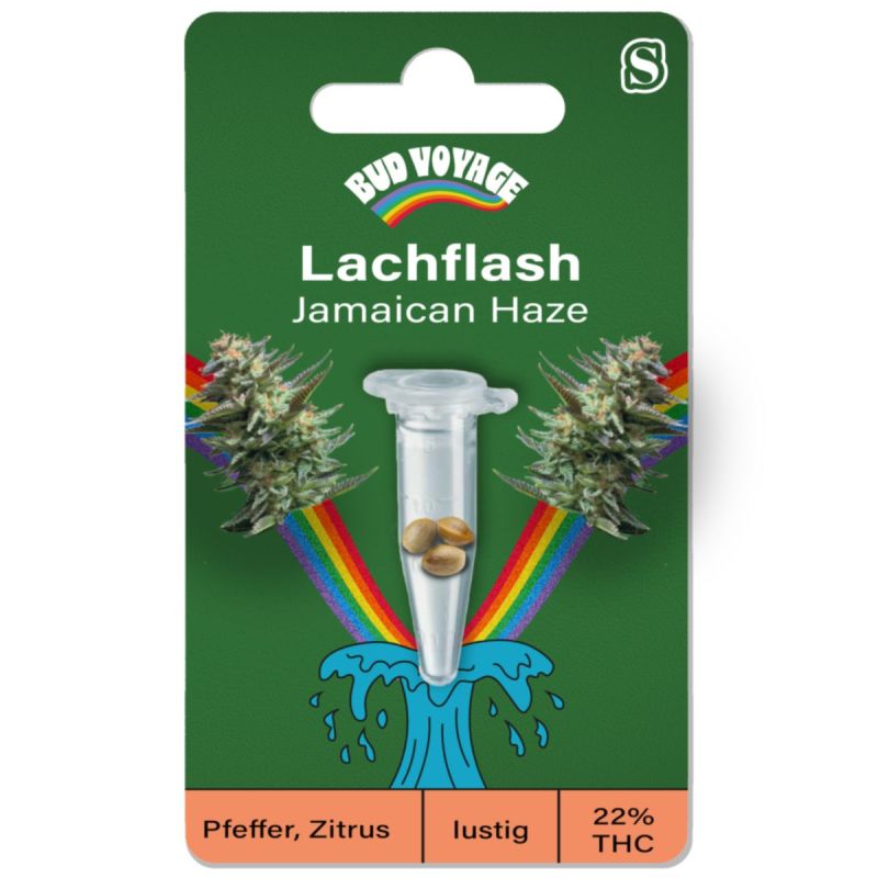 Bud Voyage Hanfsamen Lachflash - Jamaican Haze