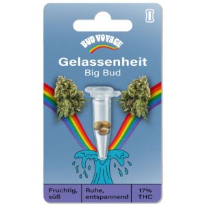 Bud Voyage Hanfsamen Gelassenheit – Big Bud Bud Voyage Hanfsamen Gelassenheit – Big Bud