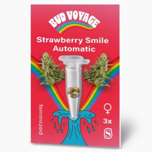 Bud Voyage Hanfsamen Strawberry Smile Auto Bud Voyage Hanfsamen Strawberry Smile Auto