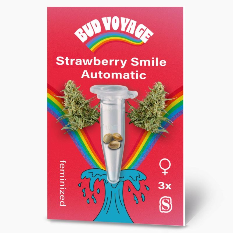 Bud Voyage Hanfsamen Strawberry Smile Auto