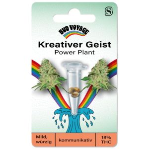 Bud Voyage Hanfsamen Kreativer Geist – Power Plant Bud Voyage Hanfsamen Kreativer Geist – Power Plant