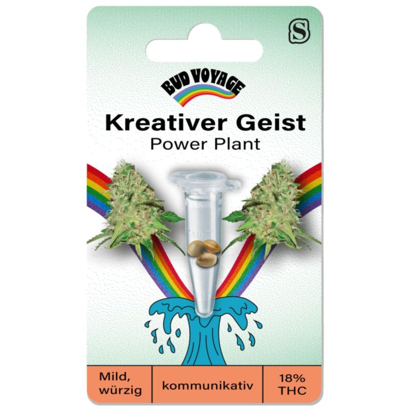 Bud Voyage Hanfsamen Kreativer Geist - Power Plant