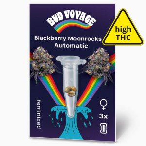 Bud Voyage Hanfsamen Blackberry Moonrocks Auto Bud Voyage Hanfsamen Blackberry Moonrocks Auto