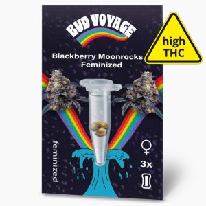 Bud Voyage Hanfsamen Blackberry Moonrocks Feminisiert Bud Voyage Hanfsamen Blackberry Moonrocks Feminisiert