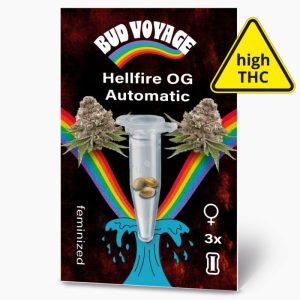 Bud Voyage Hanfsamen Hellfire OG Auto Bud Voyage Hanfsamen Hellfire OG Auto