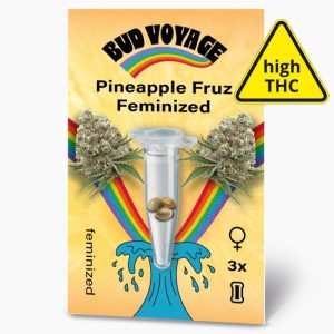 Bud Voyage Hanfsamen Pineapple Fruz Feminisiert Bud Voyage Hanfsamen Pineapple Fruz Feminisiert
