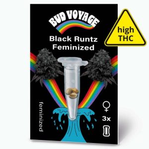 Bud Voyage Hanfsamen Black Runtz Feminisiert Bud Voyage Hanfsamen Black Runtz Feminisiert