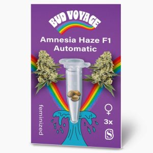 Hanfsamen BudVoyage Amnesia Haze F1 Auto3 Samen Hanfsamen BudVoyage Amnesia Haze F1 Auto3 Samen