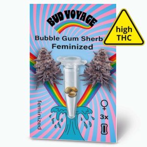 Hanfsamen BudVoyage Bubble Gum Sherb Fem3 Samen Hanfsamen BudVoyage Bubble Gum Sherb Fem3 Samen