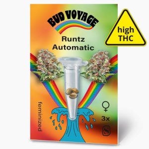 Hanfsamen BudVoyage Runtz Auto, 3 Samen Hanfsamen BudVoyage Runtz Auto, 3 Samen