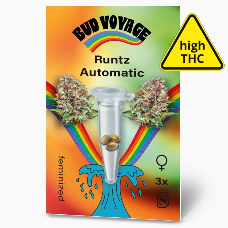Hanfsamen BudVoyage Runtz Auto, 3 Samen