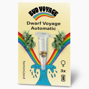 Hanfsamen BudVoyage Dwarf Auto, 3 Samen Hanfsamen BudVoyage Dwarf Auto, 3 Samen