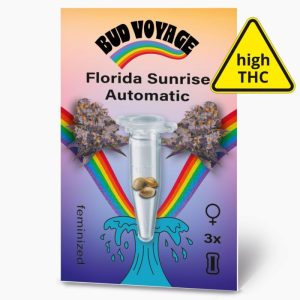 Hanfsamen BudVoyage Florida Sunrise Auto3 Samen Hanfsamen BudVoyage Florida Sunrise Auto3 Samen
