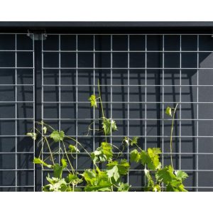 EcoStar Rankgitter Größe 2 EcoStar Rankgitter Größe 2