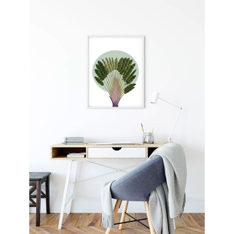 Komar  Wandbild Botanical Garden Pinnate Palm 30x40 cm