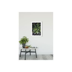 Komar Wandbild Succulent Single 30×40 cm Komar Wandbild Succulent Single 30×40 cm