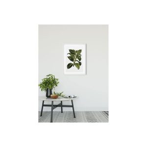 Komar  Wandbild Elastica Tree 30×40 cm