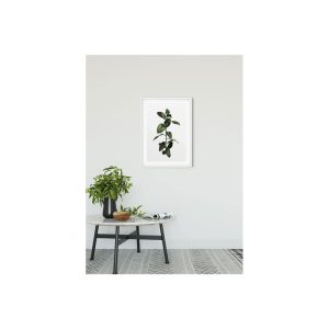 Komar  Wandbild Ficus Branch 30×40 cm