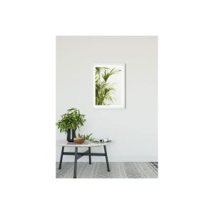 Komar  Wandbild Reed Leaves 30×40 cm