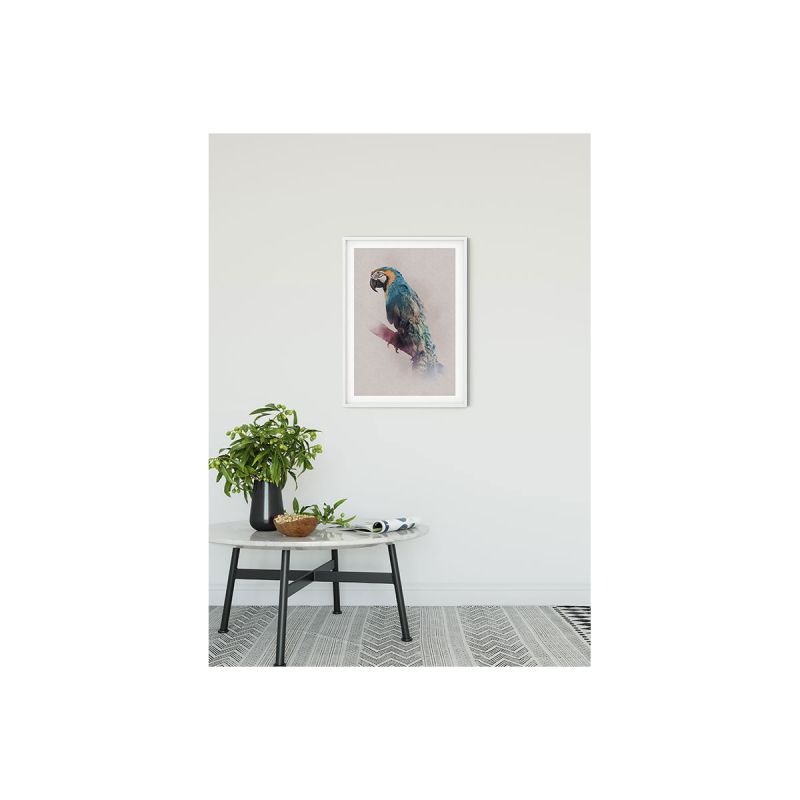 Komar  Wandbild Animals Paradise Parrot 30x40 cm