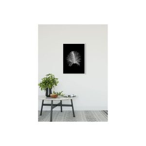 Komar  Wandbild Feather Black 30×40 cm