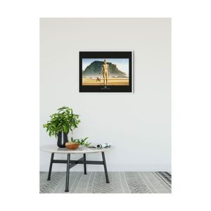 Komar Wandbild Star Wars Classic Droids 50×40 cm Komar Wandbild Star Wars Classic Droids 50×40 cm