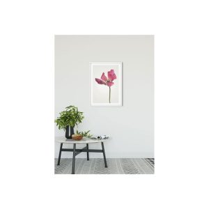 Komar Wandbild Tulip 40×50 cm Komar Wandbild Tulip 40×50 cm