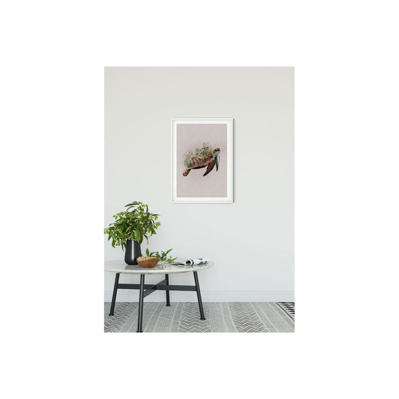 Komar  Wandbild Animals Paradise Turtle 40x50 cm