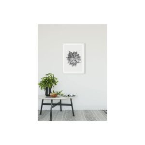 Komar Wandbild Succulent Agave 50×70 cm Komar Wandbild Succulent Agave 50×70 cm