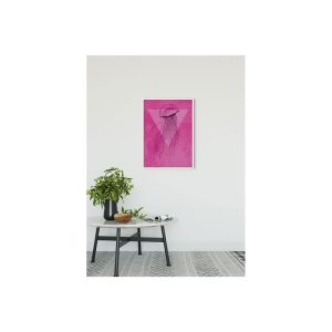 Komar Wandbild Jellyfish Pink 50×70 cm Komar Wandbild Jellyfish Pink 50×70 cm