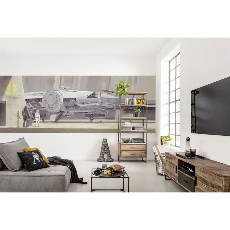Komar  Papier Fototapete Star Wars Classic Millennium Falcon 368x127 cm
