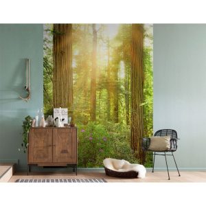 Komar Vlies Fototapete Redwood 200×260 cm Komar Vlies Fototapete Redwood 200×260 cm