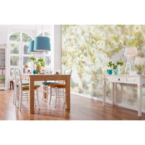Komar Papier Fototapete Daisies 368×254 cm Komar Papier Fototapete Daisies 368×254 cm