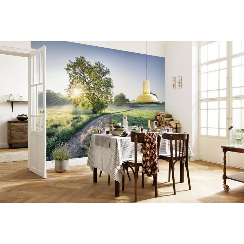 Komar  Papier Fototapete Meadow Trail 368x254 cm