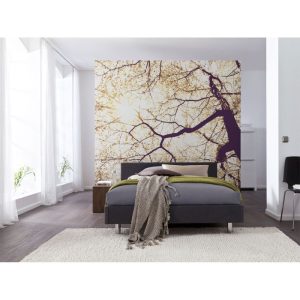 Komar Vlies Fototapete Sunshine 250×250 cm Komar Vlies Fototapete Sunshine 250×250 cm