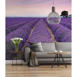 Komar  Vlies Fototapete Provence 300×250 cm