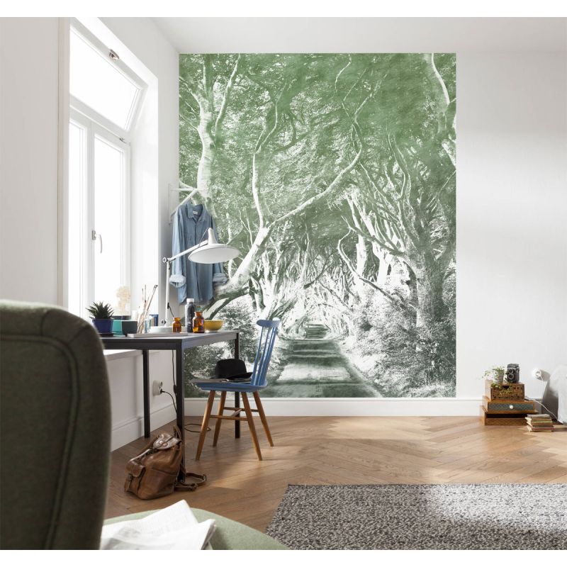 Komar  Vlies Fototapete Alley Graphite 200x250 cm