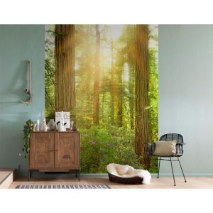 Komar Vlies Fototapete Redwood 200×250 cm Komar Vlies Fototapete Redwood 200×250 cm