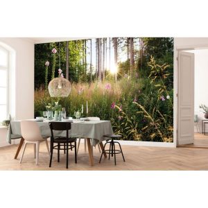 Komar Vlies Fototapete Summer Glade 350×250 cm Komar Vlies Fototapete Summer Glade 350×250 cm