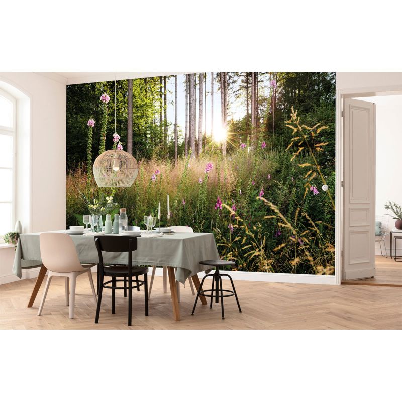 Komar  Vlies Fototapete Summer Glade 350x250 cm